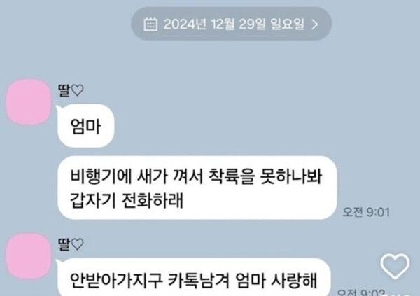 ▲29일 탑승객의 마지막 메시지 (사진= 온라인 커뮤니티 갈무리)