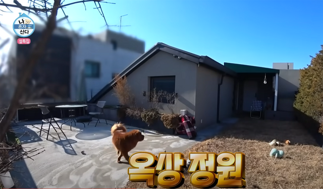 ▲'나혼자산다' 김설현 (사진=MBC '나 혼자 산다' 방송 캡처)