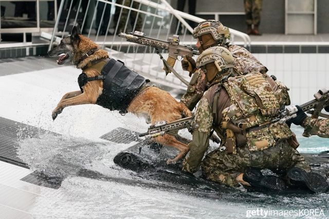 ▲훈련 중인 군견 (사진=게티이미지코리아)