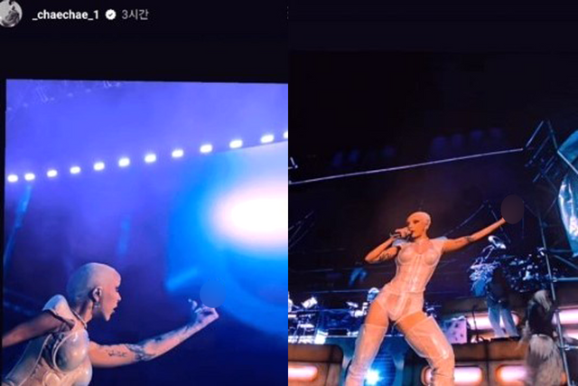 ▲김채원이 올린 도자캣 영상 일부 (사진=김채원 SNS)