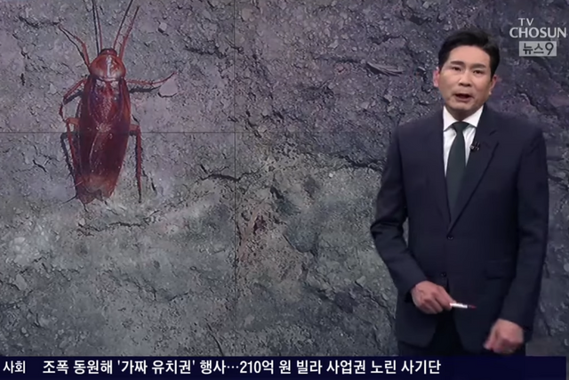 ▲윤정호 앵커(사진=채널A '뉴스9')