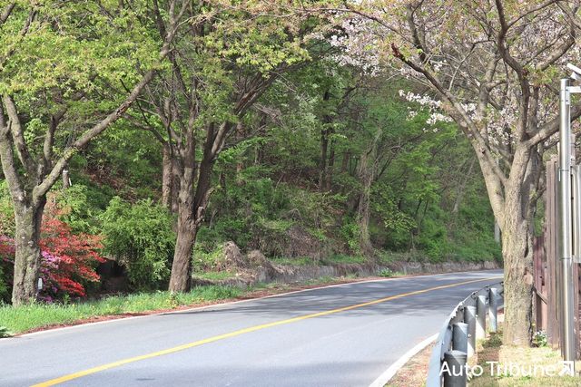 ▲충주호를 끼고 도는 고갯길은 드라이빙 코스로 인기다(사진=최현진 기자)