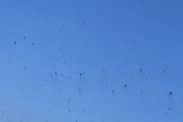 ​▲사이버트럭 외장에 녹 발생(사진='Way')