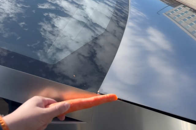 ​▲사이버트럭 안티핀치 미적용(사진='out of spec reviews')