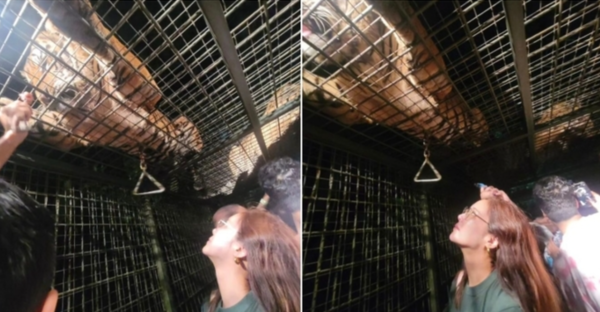 ▲황정음 (사진=황정음 SNS)