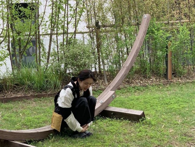 ▲네잎 클로버를 찾는 손예진 (사진=손예진 SNS)