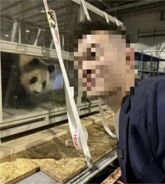 ▲중국으로 반환된 푸바오 (사진=웨이보)