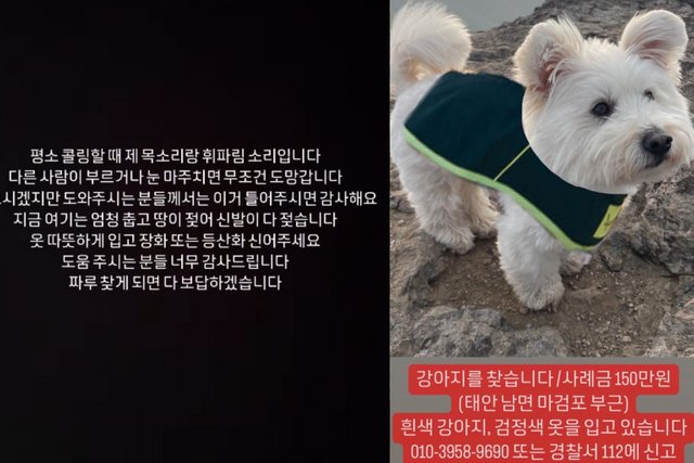 ▲자료화면 갈무리 (사진= 짜루캠핑 SNS)