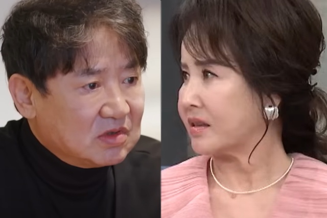 ▲이영하, 선우은숙 (사진=채널A '절친도큐멘터리-4인용 식탁', MBN '속풀이쇼 동치미')