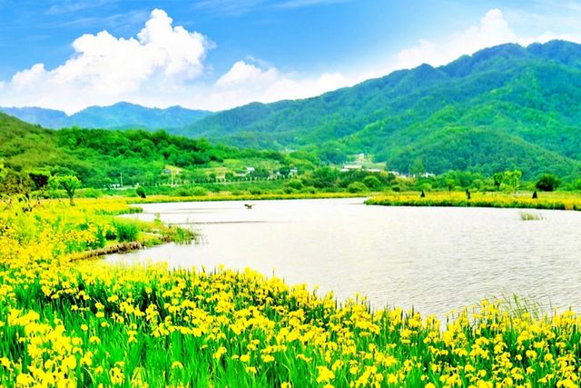 ▲참고사진. 거창창포원(사진=거창창포원 홈페이지)