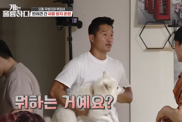 ▲강형욱 (사진=KBS '개는 훌륭하다')