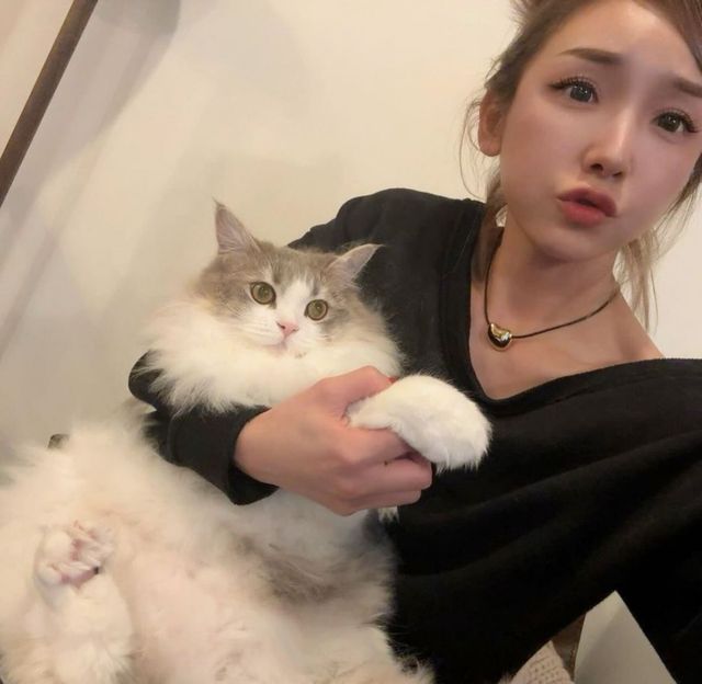 ▲카고 아이(사진=카고 아이 SNS)