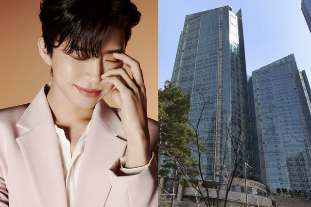 ▲임영웅, 메세나폴리스 (사진=물고기뮤직, 네이버지도)