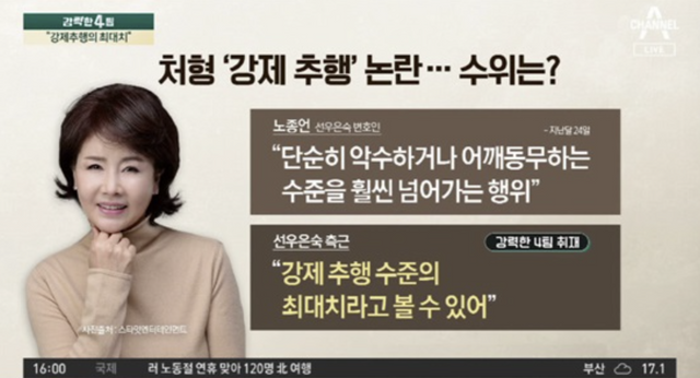 ▲자료화면 (사진=채널A 강력한 4팀)