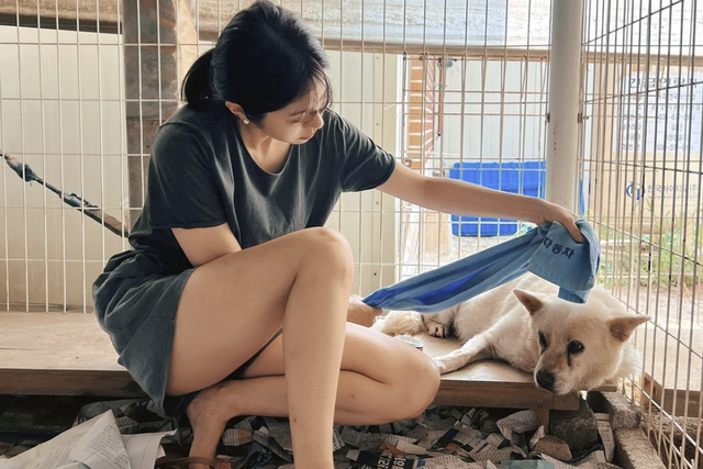 ▲유기견 봉사 활동 중인 서동주 (사진=서동주 SNS)