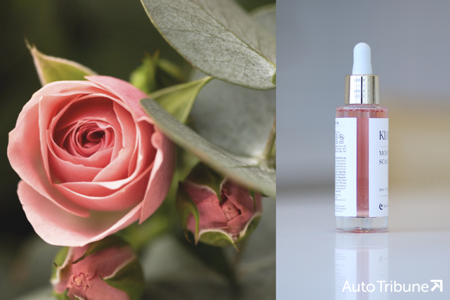 ▲다마스크장미, 모이스처 두피 세럼 (사진=키아나, 양봉수)