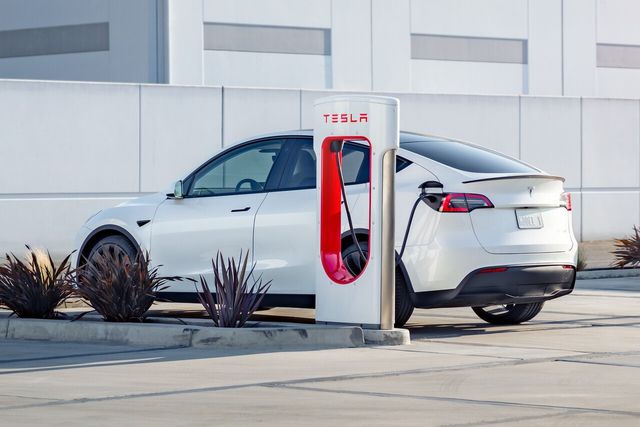 ▲참고사진, 테슬라 모델 Y(사진=테슬라)