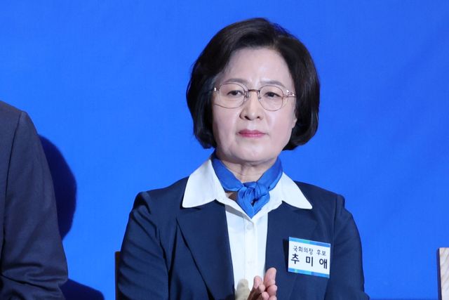 ▲추미애 더불어민주당 의원(사진=연합뉴스)