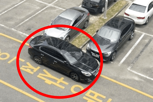 불법 주차 장면 /사진=온라인 커뮤니티