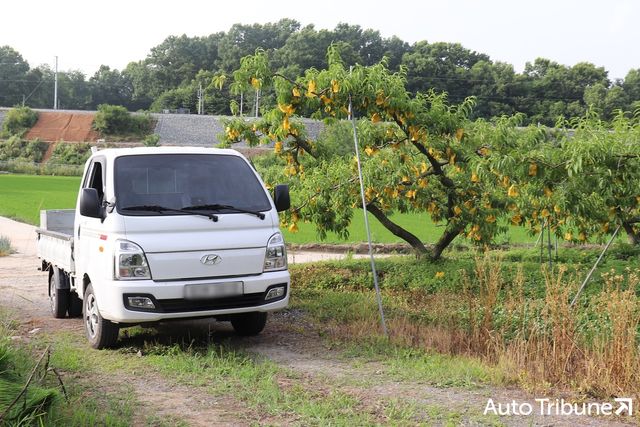 ▲현대 포터(사진=최현진 기자)