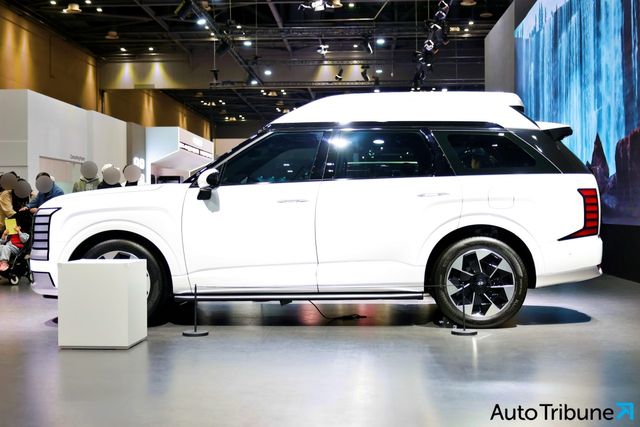 ▲현대 팰리세이드 하이루프(사진=김동민 기자)