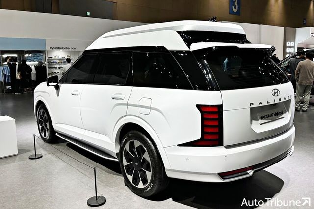 ▲현대 팰리세이드 하이루프 (사진=오토트리뷴)