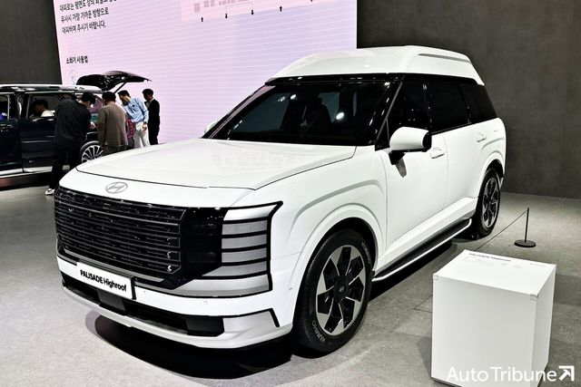 ▲현대 팰리세이드 하이루프 (사진=오토트리뷴)