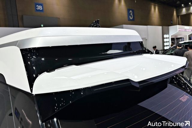 ▲현대 팰리세이드 하이루프 (사진=오토트리뷴)