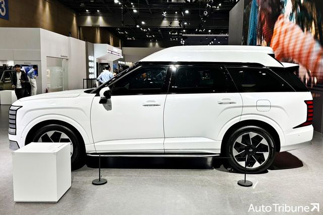 ▲현대 팰리세이드 하이루프 (사진=오토트리뷴)