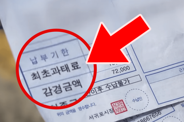 참고사진, 우편으로 받은 과태료 통지서(사진=유튜브'KBS News')