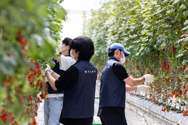 볼보자동차코리아 임직원 봉사활동/사진=볼보자동차코리아