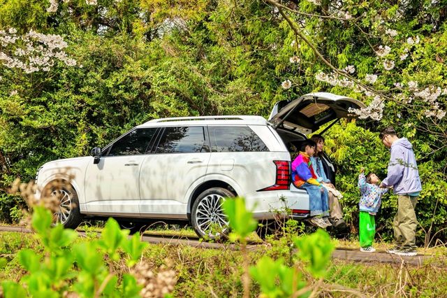 현대 팰리세이드 /사진=HMG저널