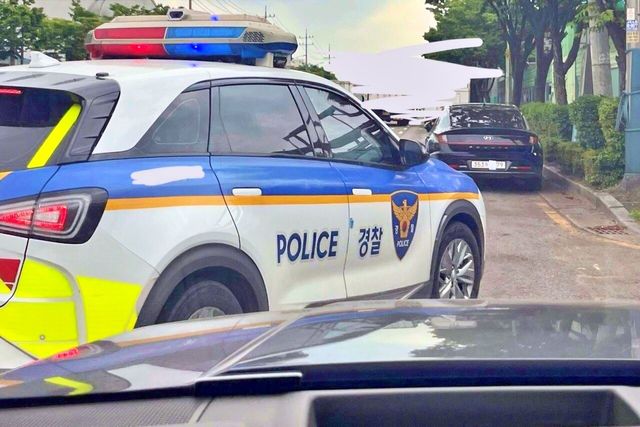 고의로 번호판을 가린 차를 현장 단속하는 경찰차 /사진=에펨코리아