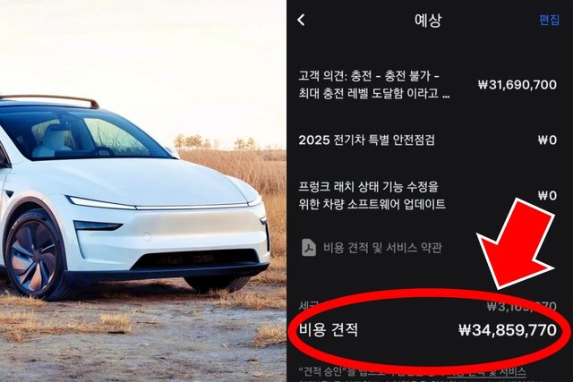 모델 Y, BMS 수리 실제 견적서 /사진=테슬라, 네이버 카페 '전기차 동호회'