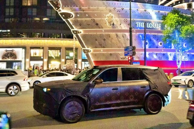 중국 상하이 '더 루이스'를 지나가고 있는 멈춰선 보야 타이샨 /사진=Baidu