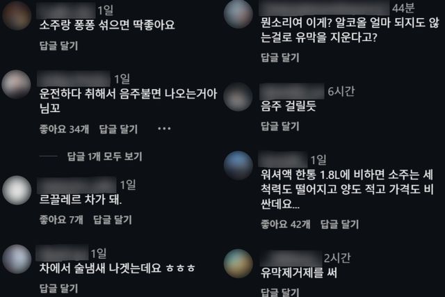 소주 워셔액 사용 관련 게시물 반응 /사진=온라인 SNS