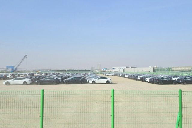 평택항에 세워진 테슬라 차량들 /사진=온라인 커뮤니티