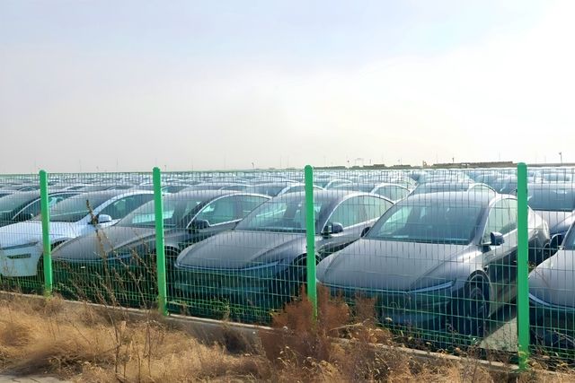 평택항에 세워진 테슬라 차량들 /사진=온라인 커뮤니티