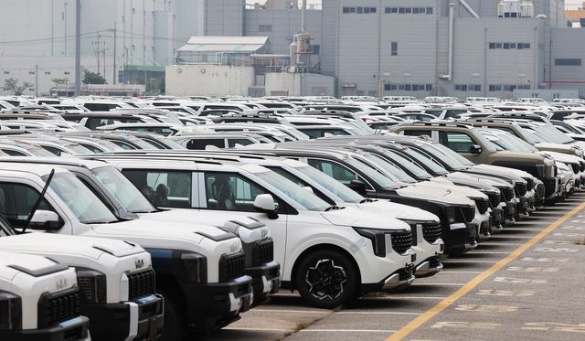 평택항에 주차된 출고 차량들 /사진=연합뉴스