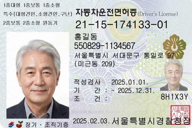 신규 디자인 운전면허증 /사진=AI생성