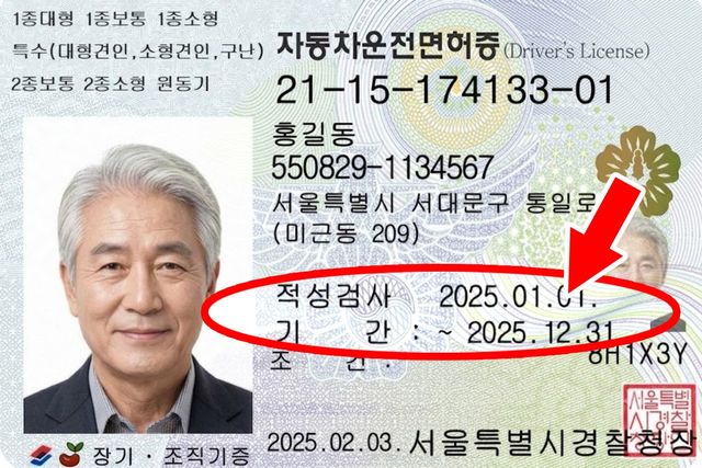 신규 디자인 운전면허증 /사진=AI생성
