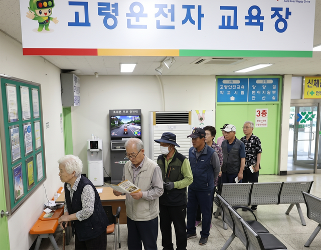 75세 이상은 고령운전자 교육 및 치매 검사를 받아야 한다 /사진=AI생성