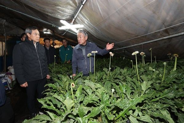 2일 경기도 안성 및 평택시 폭설피해 농가 현장을 방문한 강호동 농협중앙회장이 피해농업인을 위로하고 있다. (사진=농협중앙회)