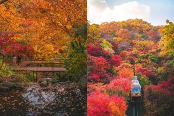 화담숲 홈페이지