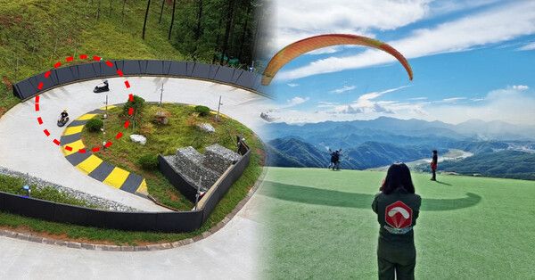 온라인 커뮤니티