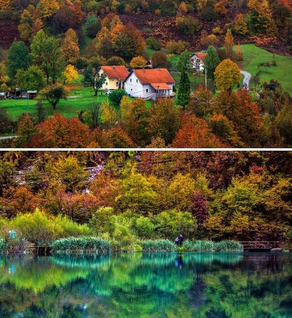 온라인 커뮤니티