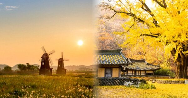 온라인 커뮤니티