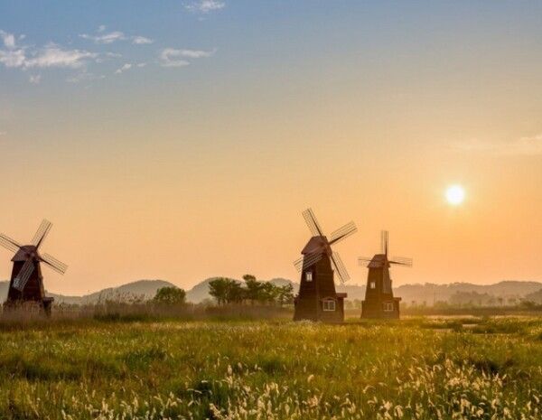 온라인 커뮤니티