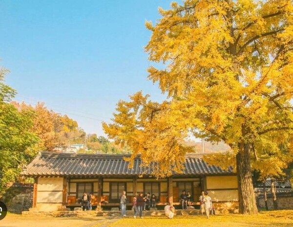 온라인 커뮤니티