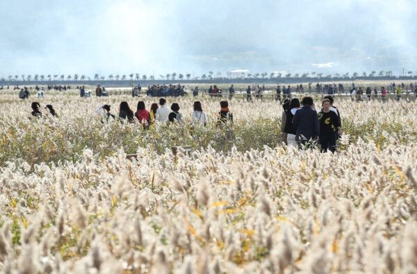 전남 강진 시청